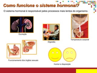 Como funciona o sistema hormonal? O sistema hormonal é responsável pelos processos mais lentos do organismo. Funcionamento dos órgãos sexuais Digestão Temperatura corporal Humor e disposição Excreção 
