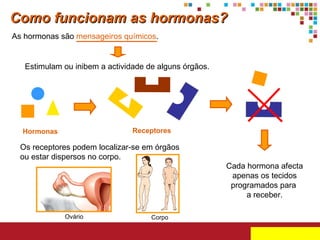 Hormonas Receptores Como funcionam as hormonas? As hormonas são  mensageiros químicos . Estimulam ou inibem a actividade de alguns órgãos. Cada hormona afecta apenas os tecidos programados para  a receber. Os receptores podem localizar-se em órgãos ou estar dispersos no corpo. Ovário Corpo 