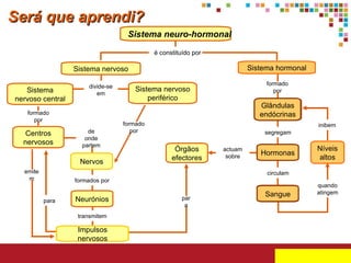 Será que aprendi? Sistema neuro-hormonal Sistema nervoso Sistema hormonal Sistema nervoso central Centros nervosos Sistema nervoso periférico Níveis altos Neurónios Órgãos efectores Nervos Impulsos nervosos Glândulas endócrinas Sangue Hormonas é constituído por formado por divide-se em formado por segregam circulam quando atingem inibem formados por actuam sobre de onde partem transmitem emitem para formado por para 