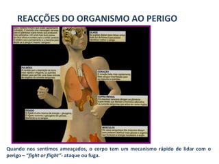 REACÇÕES DO ORGANISMO AO PERIGO Quando nos sentimos ameaçados, o corpo tem um mecanismo rápido de lidar com o perigo – “ fight or flight” - ataque ou fuga. 