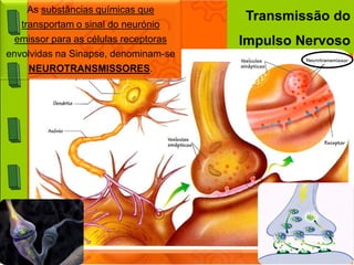 As substâncias químicas que
                                       Transmissão do
   transportam o sinal do neurónio
  emissor para as células receptoras   Impulso Nervoso
envolvidas na Sinapse, denominam-se
     NEUROTRANSMISSORES.
 