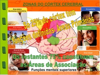 ZONAS DO CÓRTEX CEREBRAL




   Funções mentais superiores
 