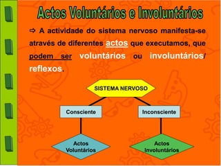  A actividade do sistema nervoso manifesta-se
através de diferentes actos que executamos, que
podem   ser     voluntários ou involuntários/
reflexos.

                      SISTEMA NERVOSO



            Consciente             Inconsciente




              Actos                     Actos
            Voluntários             Involuntários
 
