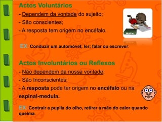 Actos Voluntários
- Dependem da vontade do sujeito;
- São conscientes;
- A resposta tem origem no encéfalo.

EX: Conduzir um automóvel; ler; falar ou escrever.


Actos Involuntários ou Reflexos
- Não dependem da nossa vontade;
- São Inconscientes;
- A resposta pode ter origem no encéfalo ou na
espinal-medula.

EX: Contrair a pupila do olho, retirar a mão do calor quando
queima.
 