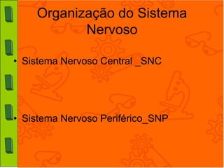 Organização do Sistema
           Nervoso

• Sistema Nervoso Central _SNC




• Sistema Nervoso Periférico_SNP
 
