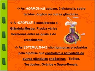  As HORMONAS actuam, à distancia, sobre
        tecidos, órgãos ou outras glândulas.

 A HIPÓFISE é considerada a
Glândula Mestra. Produz várias
hormonas entre as quais a do
        crescimento.

    As ESTIMULINAS são hormonas produzidas
     pela hipófise que controlam a actividade de
       outras glândulas endócrinas - Tiróide,
         Testículos, Ovários e Supra-Renais.
 