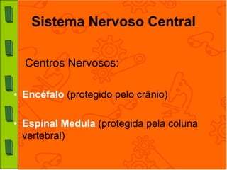Sistema Nervoso Central

  Centros Nervosos:

• Encéfalo (protegido pelo crânio)

• Espinal Medula (protegida pela coluna
  vertebral)
 