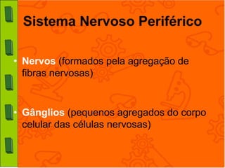 Sistema Nervoso Periférico

• Nervos (formados pela agregação de
  fibras nervosas)


• Gânglios (pequenos agregados do corpo
  celular das células nervosas)
 
