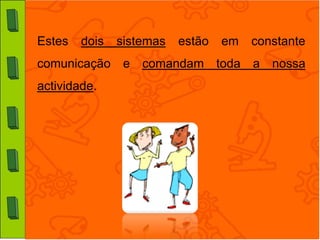 Estes   dois   sistemas   estão   em   constante
comunicação e comandam toda a nossa
actividade.
 