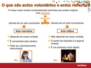 O que são actos voluntários e actos reflexos? O nosso corpo recebe constantemente estímulos que podem originar uma  resposta . através de um acto inconsciente através de um acto consciente Acto voluntário Acto reflexo Ex.: Ex.: Pode ser Pode ser voluntariamente interrompido. É comandado pelo cérebro. Depende da nossa vontade. O centro de resposta  é  a espinal medula. É um processo muito rápido. Não depende da nossa vontade. 
