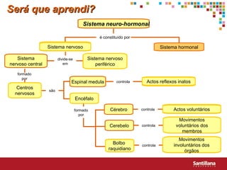 Será que aprendi? Sistema   neuro-hormonal Sistema hormonal Sistema nervoso central Espinal medula Cérebro Cerebelo Actos reflexos inatos Centros nervosos Bolbo  raquidiano Actos voluntários Movimentos voluntários dos membros Movimentos involuntários dos órgãos Sistema nervoso periférico Encéfalo Sistema nervoso é constituído por formado por são controla controla controla controla divide-se em formado por 