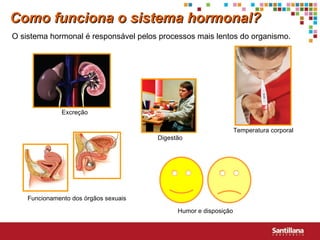 Como funciona o sistema hormonal? O sistema hormonal é responsável pelos processos mais lentos do organismo. Funcionamento dos órgãos sexuais Digestão Temperatura corporal Humor e disposição Excreção 