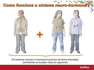 Os sistemas nervoso e hormonal funcionam de forma articulada,  controlando as funções vitais do organismo. + Como funciona o sistema neuro-hormonal? 