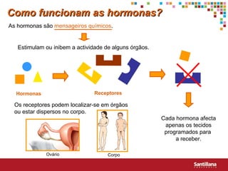 Hormonas Receptores Como funcionam as hormonas? As hormonas são  mensageiros químicos . Estimulam ou inibem a actividade de alguns órgãos. Cada hormona afecta apenas os tecidos programados para  a receber. Os receptores podem localizar-se em órgãos ou estar dispersos no corpo. Ovário Corpo 