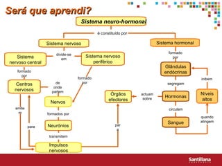 Será que aprendi? Sistema neuro-hormonal Sistema nervoso Sistema hormonal Sistema nervoso central Centros nervosos Sistema nervoso periférico Níveis altos Neurónios Órgãos efectores Nervos Impulsos nervosos Glândulas endócrinas Sangue Hormonas é constituído por formado por divide-se em formado por segregam circulam quando atingem inibem formados por actuam sobre de onde partem transmitem emitem para formado por para 