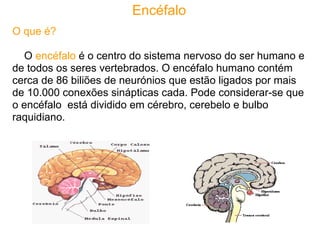 Encéfalo
O que é?

  O encéfalo é o centro do sistema nervoso do ser humano e
de todos os seres vertebrados. O encéfalo humano contém
cerca de 86 biliões de neurónios que estão ligados por mais
de 10.000 conexões sinápticas cada. Pode considerar-se que
o encéfalo está dividido em cérebro, cerebelo e bulbo
raquidiano.
 