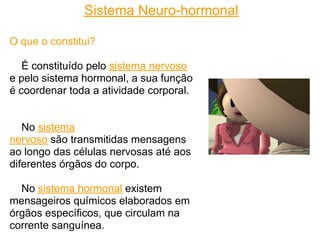 Sistema Neuro-hormonal

O que o constitui?

   É constituído pelo sistema nervoso
e pelo sistema hormonal, a sua função
é coordenar toda a atividade corporal.


   No sistema
nervoso são transmitidas mensagens
ao longo das células nervosas até aos
diferentes órgãos do corpo.

  No sistema hormonal existem
mensageiros químicos elaborados em
órgãos específicos, que circulam na
corrente sanguínea.
 