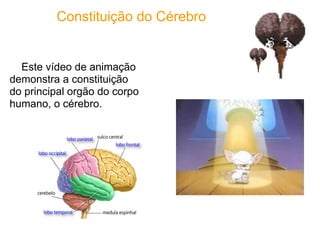 Constituição do Cérebro


  Este vídeo de animação
demonstra a constituição
do principal orgão do corpo
humano, o cérebro.
 