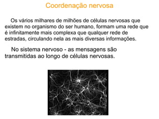 Coordenação nervosa

   Os vários milhares de milhões de células nervosas que
existem no organismo do ser humano, formam uma rede que
é infinitamente mais complexa que qualquer rede de
estradas, circulando nela as mais diversas informações.

   No sistema nervoso - as mensagens são
transmitidas ao longo de células nervosas.
 
