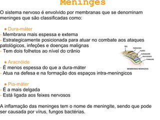 Meninges
O sistema nervoso é envolvido por membranas que se denominam
meninges que são classificadas como:

  ● Dura-máter
- Membrana mais espessa e externa
- Estrategicamente posicionada para atuar no combate aos ataques
patológicos, infeções e doenças malignas
- Tem dois folhetos ao nível do crânio

  ● Aracnóide
- É menos espessa do que a dura-máter
- Atua na defesa e na formação dos espaços intra-meningicos

  ● Pia-máter
- É a mais delgada
- Está ligada aos feixes nervosos

A inflamação das meninges tem o nome de meningite, sendo que pode
ser causada por vírus, fungos bactérias.
 