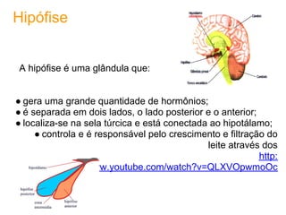 Hipófise


A hipófise é uma glândula que:


● gera uma grande quantidade de hormônios;
● é separada em dois lados, o lado posterior e o anterior;
● localiza-se na sela túrcica e está conectada ao hipotálamo;
     ● controla e é responsável pelo crescimento e filtração do
                                              leite através dos
                                                           http:
                //www.youtube.com/watch?v=QLXVOpwmoOc
 