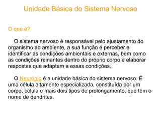 Unidade Básica do Sistema Nervoso

O que é?

   O sistema nervoso é responsável pelo ajustamento do
organismo ao ambiente, a sua função é perceber e
identificar as condições ambientais e externas, bem como
as condições reinantes dentro do próprio corpo e elaborar
respostas que adaptem a essas condições.

  O Neurónio é a unidade básica do sistema nervoso. É
uma célula altamente especializada, constituída por um
corpo, célula e mais dois tipos de prolongamento, que têm o
nome de dendrites.
 