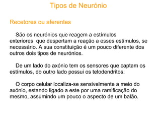 Tipos de Neurónio

Recetores ou aferentes

  São os neurónios que reagem a estímulos
exteriores que despertam a reação a esses estímulos, se
necessário. A sua constituição é um pouco diferente dos
outros dois tipos de neurónios.

  De um lado do axónio tem os sensores que captam os
estímulos, do outro lado possui os telodendritos.

  O corpo celular localiza-se sensivelmente a meio do
axónio, estando ligado a este por uma ramificação do
mesmo, assumindo um pouco o aspecto de um balão.
 