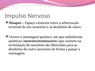 Impulso Nervoso
Sinapse – Espaço existente entre a arborização
 terminal de um neurónio e as dendrites de outro.

Ocorre a mensagem química, em que substâncias
 químicas (neurotransmissores) que existem na
 terminação do neurónio são libertadas para as
 dendrites do outro neurónio de forma a passar a
 mensagem.
 