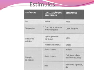 Estímulos
 