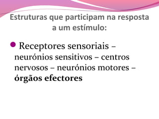 Estruturas que participam na resposta
            a um estímulo:
Receptores sensoriais –
 neurónios sensitivos – centros
 nervosos – neurónios motores –
 órgãos efectores
 