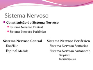 Sistema Nervoso
Constituição do Sistema Nervoso
  Sistema Nervoso Central
  Sistema Nervoso Periférico


Sistema Nervoso Central         Sistema Nervoso Periférico
  Encéfalo                        Sistema Nervoso Somático
 Espinal Medula                  Sistema Nervoso Autónomo
                                       Simpático
                                       Parassimpático
 