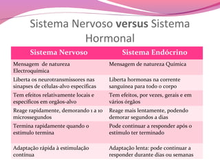 Sistema Nervoso versus Sistema
                 Hormonal
       Sistema Nervoso                      Sistema Endócrino
Mensagem de natureza                   Mensagem de natureza Química
Electroquímica
Liberta os neurotransmissores nas      Liberta hormonas na corrente
sinapses de células-alvo específicas   sanguínea para todo o corpo
Tem efeitos relativamente locais e     Tem efeitos, por vezes, gerais e em
específicos em orgãos-alvo             vários órgãos
Reage rapidamente, demorando 1 a 10    Reage mais lentamente, podendo
microssegundos                         demorar segundos a dias
Termina rapidamente quando o           Pode continuar a responder após o
estímulo termina                       estímulo ter terminado

Adaptação rápida à estimulação         Adaptação lenta: pode continuar a
contínua                               responder durante dias ou semanas
 