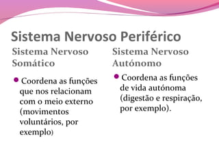 Sistema Nervoso Periférico
Sistema Nervoso        Sistema Nervoso
Somático               Autónomo
Coordena as funções   Coordena as funções
 que nos relacionam     de vida autónoma
 com o meio externo     (digestão e respiração,
 (movimentos            por exemplo).
 voluntários, por
 exemplo)
 
