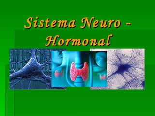Sistema Neuro - Hormonal 