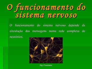 O funcionamento do sistema nervoso depende da circulação das mensagens numa rede complexa de neurónios. O funcionamento do sistema nervoso Fig.1 Neurónios 