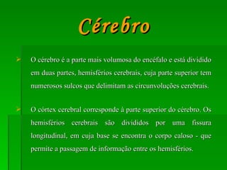 O cérebro é a parte mais volumosa do encéfalo e está dividido em duas partes, hemisférios cerebrais, cuja parte superior tem numerosos sulcos que delimitam as circunvoluções cerebrais.  O córtex cerebral corresponde à parte superior do cérebro. Os hemisférios cerebrais são divididos por uma fissura longitudinal, em cuja base se encontra o corpo caloso - que permite a passagem de informação entre os hemisférios.  Cérebro 