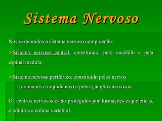 Nos vertebrados o sistema nervoso compreende: Sistema nervoso central , constituído, pelo encéfalo e pela espinal medula; Sistema nervoso periférico , constituído pelos nervos  (cranianos e raquidianos) e pelos gânglios nervosos. Os centros nervosos estão protegidos por formações esqueléticas, o crânio e a coluna vertebral. Sistema Nervoso 