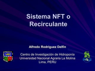 Sistema NFT o
Recirculante
Alfredo Rodríguez Delfín
Centro de Investigación de Hidroponía
Universidad Nacional Agraria La Molina
Lima, PERU
 
