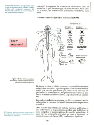 Lee y resumen!