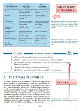 Copia el cuadro en el cuaderno
Esto, ya no!