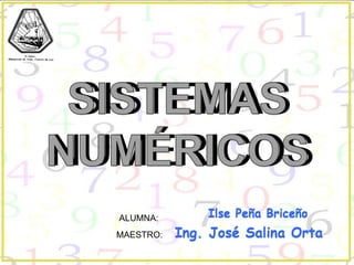 Sistemas numéricos 2