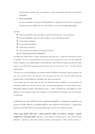 Circunvolução unciforme (que sai na prática) e cauda circunvolução denteada e circunvolução
intralímbica
 Área entorrinal.
Da área entorrinal, só faz parte do lobo piriforme a sua parte mais anterior. A sua porção
mais posterior tem relação não com o lobo olfactivo, mas com a formação hipocampal.
Neste slide:
 Córtex pré-piriforme com o giro olfactivo lateral, nesta localização, e o gyrus ambiens.
 Área periamigdaloide, aqui com o giro semilunar e com a estria olfactiva lateral.
 Circunvolução unciforme.´
 Circunvolução intralímbica.
 Cauda do giro denteado.~
 Área entorrinal, nomeadamente a sua porção anterior.
ISTO É CÓRTEX OLFACTIVO PRIMÁRIO.
Estas fibras das células mitrais e tufosas, vão projectar para estas áreas, e projectam extensamente através
de colaterias. Ou seja, vocês tem geralemente a noção de que um axónio projecta para uma só area mas também há
botões em passan e estas células mitrais e tufosas dão jus a estes botões em passan, porque uma célula
mitral e uma célula tufosa vai projectar para esta área, para esta área, para esta área,... há uma extensa
colaterização.
Esta área em si está conectada por um extenso sistema de fibras de associação cortico-corticais. Ou
seja, esta área projecta para a área adjacente e esta área projecta para outra área e por fim estas áreas vão
projectar para o córtex olfactivo secundário, que está nesta localização.
Vocês reparam que nós temos aqui um fluxo de informação muito semelhante ao processamento da
informação sensitiva no neocórtex, por isso é que é mt importante aquilo que eu vos disse há pouco que a
informação olfactiva projecta directamente para o córtex cerebral sem necessidade de relay
talâmico. E esta projecção é logo muito complexa, com várias fibras de associação, com vária associação
de informação.
A informação no córtex olfactivo não tem organização topográfica. A organização topográfica está
presente no bolbo olfactivo e no epitélio olfactivo, mas a partir do córtex perde-se... porquê? Uma
pequena área do bolbo olfactivo vai-se projectar para toda a área do córtex olfactivo primário.
Temos aqui aquele slide que é muito possivel calhar em teórico... porque é aquele
conjunto de coisas para saber. Relembro o sistema de fibras de associação cortico-corticais, dentro do lobo
piriforme e reparem que há outras estruturas terciárias, nomedamente o núcleo olfactivo anterior, o
 
