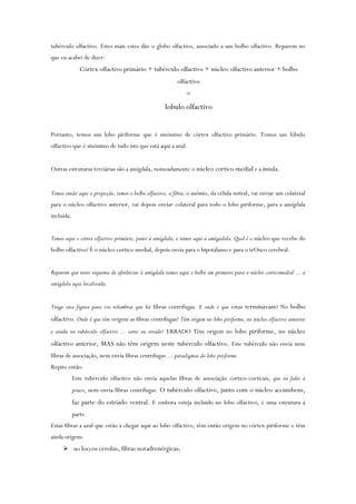 tubérculo olfactivo. Estes mais estes dão o globo olfactivo, associado a um bolbo olfactivo. Reparem no
que eu acabei de dizer:
Córtex olfactivo primário + tubérculo olfactivo + núcleo olfactivo anterior + bolbo
olfactivo
=
lobulo olfactivo
Portanto, temos um lobo piriforme que é sinónimo de córtex olfactivo primário. Temos um lóbulo
olfactivo que é sinónimo de tudo isto que está aqui a azul.
Outras estruturas terciárias são a amígdala, nomeadamente o núcleo cortico-medial e a ínsula.
Temos então aqui a projecção, temos o bolbo olfactivo, a fibra, o axónio, da célula mitral, vai enviar um colateral
para o núcleo olfactivo anterior, vai depois enviar colateral para todo o lobo piriforme, para a amígdala
incluída.
Temos aqui o córtex olfactivo primário, junto à amígdala, e temos aqui a amígadala. Qual é o núcleo que recebe do
bolbo olfactivo? É o núcleo cortico-medial, depois envia para o hipotálamo e para o trOnco cerebral.
Reparem que neste esquema de aferências à amígdala temos aqui o bolbo em primeiro para o núcleo corticomedial ... a
amígdala aqui localizada.
Trago esta figura para vos relembrar que há fibras centrífugas. E onde é que estas terminavam? No bolbo
olfactivo. Onde é que têm origem as fibras centrífugas? Têm origem no lobo piriforme, no núcleo olfactivo anterior
e ainda no tubérculo olfactivo ... certo ou errado? ERRADO Têm origem no lobo piriforme, no núcleo
olfactivo anterior, MAS não têm origem neste tubérculo olfactivo. Este tubérculo não envia nem
fibras de associação, nem envia fibras centrífugas ... paradigmas do lobo piriforme.
Repito então:
Este tubérculo olfactivo não envia aquelas fibras de associação cortico-corticais, que eu falei à
pouco, nem envia fibras centrífugas. O tubérculo olfactivo, junto com o núcleo accumbens,
faz parte do estriado ventral. E embora esteja incluido no lobo olfactivo, é uma estrutura à
parte.
Estas fibras a azul que estão a chegar aqui ao lobo olfactivo, têm então origem no córtex piriforme e têm
ainda origem:
 no loccos cerolus, fibras noradrenérgicas;
 