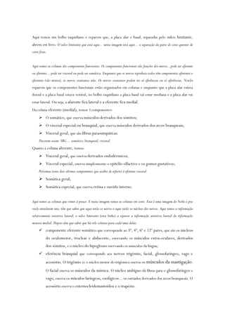 Aqui temos um bolbo raquidiano e reparem que, a placa alar e basal, separadas pelo sulco limitante,
abrem em livro. O sulco limitante que está aqui... nesta imagem está aqui... a separação da parte de cores quentes de
cores frias.
Aqui temos as colunas dos componentes funcionais. Os componentes funcionais são funções dos nervos.. pode ser aferente
ou eferente... pode ser visceral ou pode ser somática. Enquanto que os nervos espinhais todos têm componentes aferentes e
eferentes (são mistos), os nervos cranianos não. Os nervos cranianos podem ter só eferências ou só aferências. Vocês
reparem que os componentes funcionais estão organizados em colunas e enquanto que a placa alar estava
dorsal e a placa basal estava ventral, no bolbo raquidiano a placa basal vai estar mediana e a placa alar vai
estar lateral. Ou seja, a afarente fica lateral e a eferente fica medial.
Da coluna eferente (medial), temos 3 componentes:
 O somático, que enerva músculos derivados dos sómitos;
 O visceral especial ou branquial, que enerva músculos derivados dos arcos branqueais;
 Visceral geral, que são fibras parassimpáticas.
Decorem assim: SBG ... somático; branquial; visceral.
Quanto à coluna aferente, temos:
 Visceral geral, que enerva derivados endodérmicos;
 Visceral especial, enerva simplesmente o epitélio olfactivo e os gomos gustativos;
Próximas (estes dois ultimos componentes que acabei de referir) à eferente visceral.
 Somática geral;
 Somática especial, que enerva retina e ouvido interno.
Aqui temos as colunas que vimos à pouco. E nesta imagem vemos as colunas em corte. Esta é uma imagem do Nolte e pra
vocês estudarem isto, têm que saber que aqui estão os nervos e aqui estão os núcleos dos nervos. Aqui temos a informação
relativamente sensitiva lateral, o sulco limitante (esta linha) a separar a informação sensitiva lateral da informação
motora medial. Depois têm que saber que há três colunas para cada uma delas:
 componente eferente somático que corresponde ao 3º, 4º, 6º e 12º pares, que são os núcleos
do oculomotor, troclear e abducente, enervando os músculos extra-oculares, derivados
dos sómitos, e o núcleo do hipoglosso enervando os músculos da língua;
 eferência branquial que corresponde aos nervos trigémio, facial, glossofaríngeo, vago e
acessório. O trigémio (é o núcleo motor do trigémio) enerva os músculos da mastigação.
O facial enerva os músculos da mímica. O núcleo ambíguo dá fibras para o glossofaríngeo e
vago, enerva os múculos faríngeos, esofágicos... os estriados derivados dos arcos branqueais. O
acessório enerva o esternocleidomastoideu e o trapézio.
 