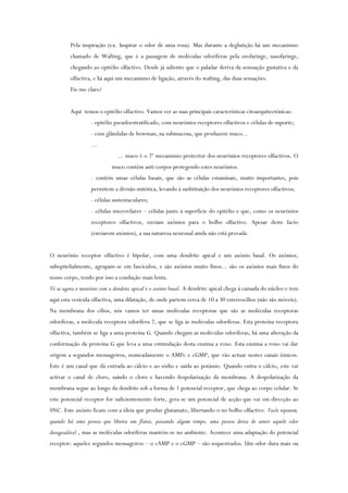 Pela inspiração (ex. Inspirar o odor de uma rosa). Mas durante a deglutição há um mecanismo
chamado de Wafting, que é a passagem de moléculas odoríferas pela orofaringe, nasofaringe,
chegando ao epitélio olfactivo. Desde já saliento que o paladar deriva da senssação gustativa e da
olfactiva, e há aqui um mecanismo de ligação, através do wafting, das duas sensações.
Fiz-me claro?
Aqui temos o epitélio olfactivo. Vamos ver as suas principais características citoarquitectónicas:
- epitélio pseudoestratificado, com neurónios receptores olfactivos e células de suporte;
- com glândulas de bowman, na submucosa, que produzem muco...
...
... muco é o 2º mecanismo protector dos neurónios receptores olfactivos. O
muco contém anti-corpos protegendo estes neurónios.
- contém umas células basais, que são as células estaminais, muito importantes, pois
permitem a divisão mitótica, levando à susbtituição dos neurónios receptores olfactivos;
- células sustentaculares;
- células microvilares – células junto à superfície do epitélio e que, como os neurónios
receptores olfactivos, enviam axónios para o bolbo olfactivo. Apesar deste facto
(enviarem axónios), a sua natureza neuronal ainda não está provada.
O neurónio receptor olfactivo é bipolar, com uma dendrite apical e um axónio basal. Os axónios,
subepitelialmente, agrupam-se em fascículos, e são axónios muito finos... são os axónios mais finos do
nosso corpo, tendo por isso a condução mais lenta.
Vê-se agora o neurónio com a dendrite apical e o axónio basal. A dendrite apical chega à camada do núcleo e tem
aqui esta vesícula olfactiva, uma dilatação, de onde partem cerca de 10 a 30 estereocílios (não são móveis).
Na membrana dos cílios, nós vamos ter umas moléculas receptoras que são as moléculas receptoras
odoríferas, a molécula receptora odorífera 2, que se liga às moléculas odoríferas. Esta proteína receptora
olfactiva, também se liga a uma proteína G. Quando chegam as moléculas odoríferas, há uma alteração da
conformação da proteína G que leva a uma estimulação desta enzima a roxo. Esta enzima a roxo vai dar
origem a segundos mensageiros, nomeadamente o AMPc e cGMP, que vão actuar nestes canais iónicos.
Este é um canal que dá entrada ao cálcio e ao sódio e saída ao potássio. Quando entra o cálcio, este vai
activar o canal de cloro, saíndo o cloro e havendo despolarização da membrana. A despolarização da
membrana segue ao longo da dendrite sob a forma de 1 potencial receptor, que chega ao corpo celular. Se
este potencial receptor for suficientemente forte, gera-se um potencial de acção que vai em direcção ao
SNC. Este axónio ficam com a ideia que produz glutamato, libertando-o no bolbo olfactivo. Vocês reparem,
quando há uma pessoa que liberta um flatus, passando algum tempo, uma pessoa deixa de sentir aquele odor
desagradável , mas as moléculas odoríferas mantém-se no ambiente. Acontece uma adaptação do potencial
receptor: aqueles segundos mensageiros – o cAMP e o cGMP – são sequestrados. Um odor dura mais ou
 