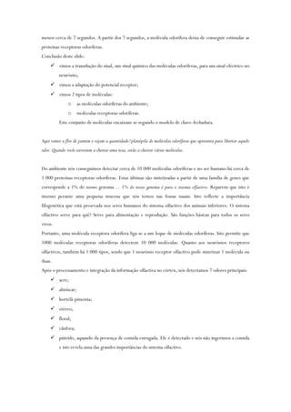 menos cerca de 7 segundos. A partir dos 7 segundos, a molécula odorífera deixa de conseguir estimular as
proteínas receptoras odoríferas.
Conclusão deste slide:
 vimos a transdução do sinal, um sinal químico das moléculas odoríferas, para um sinal eléctrico no
neurónio;
 vimos a adaptação do potencial receptor;
 vimos 2 tipos de moléculas:
o as moléculas odoríferas do ambiente;
o moléculas receptoras odoríferas.
Este conjunto de moléculas encaixam-se segundo o modelo de chave-fechadura.
Aqui vemos a flor de jasmim e vejam a quantidade/planópila de moléculas odoríferas que apresenta para libertar aquele
odor. Quando vocês estiverem a cheirar uma rosa, estão a cheirar várias moléculas.
Do ambiente nós conseguimos detectar cerca de 10 000 moléculas odoríferas e no ser humano há cerca de
1 000 proteínas receptoras odoríferas. Estas últimas são sintetizadas a partir de uma família de genes que
corresponde a 1% do nosso genoma ... 1% do nosso genoma é para o sistema olfactivo. Reparem que isto é
imenso perante uma pequena mucosa que nós temos nas fossas nasais. Isto reflecte a importância
filogenética que está presevada nos seres humanos do sistema olfactivo dos animais inferiores. O sistema
olfactivo serve para quê? Serve para alimentação e reprodução. São funções básicas para todos os seres
vivos.
Portanto, uma molécula receptora odorífera liga-se a um leque de moléculas odoríferas. Isto permite que
1000 moléculas receptoras odoríferas detectem 10 000 moléculas. Quanto aos neurónios receptores
olfactivos, também há 1 000 tipos, sendo que 1 neurónio receptor olfactivo pode sintetizar 1 molécula ou
duas.
Após o processamento e integração da informação olfactiva no córtex, nós detectamos 7 odores principais:
 acre;
 almíscar;
 hortelã-pimenta;
 etéreo;
 floral;
 cânfora;
 pútrido, aquando da presença de comida estragada. Ele é detectado e nós não ingerimos a comida
e isto revela uma das grandes importâncias do sistema olfactivo.
 