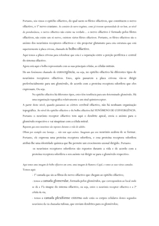 Portanto, nós vimos o epitélio olfactivo, do qual saem os filetes olfactivos, que constituem o nervo
olfactivo, o 1º nervo craniano. Ao contário do nervo trigémio, como já tiveram oportunidade de ver bem, ao nível
da protuberância, o nervo olfactivo não existe na verdade... o nervo olfactivo é formado pelos filetes
olfactivos, não existe um só nervo, existem vários filetes olfactivos. Portanto, os filetes olfactivos são o
axónio dos neurónios receptores olfactivos e vão projectar glutamato para esta estrutura que está
superiormente à placa crivosa, chamado de bolbo olfactivo.
Aqui temos a placa crivosa para relembrar que esta é a separação entre a porção periférica e central
do sistema olfactivo.
Agora está aqui o bolbo representado com as suas principais células, as células mitrais.
Há um fenómeno chamado de convergência, ou seja, no epitélio olfactivo há diferentes tipos de
neurónios receptores olfactivos. Estes, após passarem a placa crivosa vão-se dirigir
preferêncialmente para um glomérulo, de acordo com a proteína receptora odorífera que eles
expressam. Ou seja:
No epitélio olfactivo há diferentes tipos, estes têm tendência para um determinado glomérulo. Há
uma organização topográfica relativamente a um sinal quimioreceptor.
A partir deste nível, quando passamos ao córtex cerebral olfactivo, não há nenhuam organização
topográfica. Ao nível do epitélio olfactivo e do bolbo olfactivo há! FENÓMENO DE CONVERGÊNCIA.
Portanto o neurónio receptor olfactivo tem aqui o dendrite apical, envia o axónio para o
glomérulo respectivo e vai sinaptizar com a célula mitral.
Reparem que estes neurónios são repostos durante a vida do adulto.
Olhem por exemplo este laranja ... não tem aqui axónio. Imaginem que este neurónio acabou de se formar.
Portanto, ele expressa uma proteína receptora odorífera, e essa proteína receptora odorífera
atribui-lhe uma identidade química que lhe permite um crescimento axonal dirigido. Portanto:
os neurónios receptores odoríferos são repostos durante a vida e de acordo com a
proteína receptora odorífera o seu axónio vai dirigir-se para o glomérolo respectivo.
Aqui temos uma imagem do bolbo olfactivo em corte, uma imagem de Ramon e Cajal, e vemos as suas várias camadas.
Temos aqui:
- 1ª camada que são as fibras do nervo olfactivo que chegam ao epitélio olfactivo;
- temos a camada glomerular, formada pelos glomérulos, que correspondem ao local onde
se dá a 1ªa sinapse do sistema olfactivo, ou seja, entre o neurónio receptor olfactivo e a 2ª
célula da via;
- temos a camada plexiforme externa onde estão os corpos celulares destes segundos
neurónios da via chamadas tufosas, que enviam dendrites para os glomérolos;
 