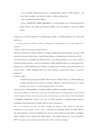 - temos a camada células mitrais que são o principal tipo celular do bolbo olfactivo, com
corpo celular triangular e cujo dendrite também se dirige a um glomérulo;
- temos a plexiforme interna (fibras);
- temos a camada de células granulares. As células granulares são os interneurónios do
bolbo olfactivo, são células que libertam GABA e que vão modular a acção das células
mitrais.
Enquanto que as células mitrais são o principal tipo celular, as células granulares são o tipo mais
numeroso ...
... é a mesma coisa que no cerebelo: as células de purkinje eram as preponderantes, mas em maior número são as
granulares.
Portanto, o fluxo de informação é epitélio olfactivo:
fibras dos neurónios receptores olfactivos, chegam ao glomérulo, fazem sinapse com uma célula
mitral ou com uma célula tufosa, o axónio destas dirige-se centriptamente em direcção ao SNC.
Este funcionamento é modulado por interneurónios , seja células granulares, com o corpo celular na
camada das células granulares, seja por estas pequenas células periglomerulares, na camada glomerular.
Enquanto que a célula granular não tem axónio, tem simplesmente dendrites, uma dendrite apical e uma
dendrite basal, a célula periglomerular tem vários axónios, estabelecendo sinapse ao nível dos
glomérulos.
Portanto, a saber:
os neurónios de projecção do bolbo olfactivo são as células mitrais e as células tufosas que
recebem aferências dos neurónios receptores olfactivos. Os interneurónios são as células
granulares, sem axónio, e as células periglomerulares, com axónio.
Reparem que estas células granulares e periglomerulares estabelecem sinapses recíprocas.
Temos aqui um dendrite da célula apical e temos aqui uma espinha dendrítica da célula granular evemos em ambos
vesículas sinápticas. Portanto, há uma interconexão entre os interneurónios e as células mitrais. A isto nós chamamos
de sinapses recíprocas. Reparem então que as células granulares e periglomerulares fazem a
modulação do funcionamento do bolbo olfactivo in loco (localmente).
Mas se vocês repararem temos aqui umas fibras centrífugas que chegam ao bolbo olfactivo de várias fontes,
nomeadamente do córtex olfactivo, do loccos cerollus... Então há uma modulação dentro do bolbo olfactivo
por interneurónios e há uma modulação que vem de níveis superiores pelas fibras centrífugas.
Fibras centríptas são os axónios das células mitrais e das células tufosas, que vão em diração ao
SNC. Não esquecer sinapses reciprocas para modulação local e fibras centríptas e centrífugas.
 