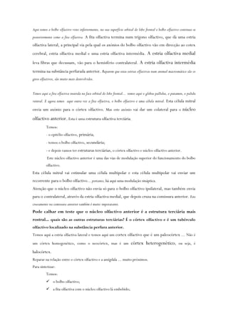 Aqui temos o bolbo olfactivo visto inferiormente, na sua superfície orbital do lobo frontal e bolbo olfactivo continua-se
posteriormente como a fita olfactiva. A fita olfactiva termina num trígono olfactivo, que dá uma estria
olfactiva lateral, a principal via pela qual os axónios do bolbo olfactivo vão em direcção ao cotex
cerebral, estria olfactiva medial e uma estria olfactiva intermédia. A estria olfactiva medial
leva fibras que decussam, vão para o hemisfério contralateral. A estria olfactiva intermédia
termina na substância perfurada anterior. Reparem que estas estrias olfactivas num animal macrosmático são os
giros olfactivos, são muito mais desnvolvidos.
Temos aqui a fita olfactiva inserida na face orbital do lobo frontal... temos aqui o globus pallidus, o putamen, o palidu
ventral. E agora temos aqui outra vez a fita olfactiva, o bolbo olfactivo e uma célula mitral. Esta célula mitral
envia um axónio para o córtex olfactivo. Mas este axónio vai dar um colateral para o núcleo
olfactivo anterior. Esta é uma estrutura olfactiva terciária.
Temos:
- o epitélio olfactivo, primária;
- temos o bolbo olfactivo, secundária;
- e depois vamos ter estruturas terciárias, o córtex olfactivo e núcleo olfactivo anterior.
Este núcleo olfactivo anterior é uma das vias de modulação superior do funcionamento do bolbo
olfactivo.
Esta célula mitral vai estimular uma célula multipolar e esta célula multipolar vai enviar um
recorrente para o bolbo olfactivo... portanto, há aqui uma modulação sináptica.
Atenção que o núcleo olfactivo não envia só para o bolbo olfactivo ipsilateral, mas também envia
para o contralateral, através da estria olfactiva medial, que depois cruza na comissura anterior. Este
cruzamento na comissura anterior também é muito imporatante.
Pode calhar em teste que o núcleo olfactivo anterior é a estrutura terciária mais
rostral... quais são as outras estruturas terciárias? É o córtex olfactivo e é um tubérculo
olfactivo localizado na substância perfura anterior.
Temos aqui a estria olfactiva lateral e temos aqui um cortex olfactivo que é um paleocórtex ... Não é
um córtex homogenético, como o neocórtex, mas é um córtex heterogenético, ou seja, é
halocórtex.
Reparar na relação entre o córtex olfactivo e a amígdala ... muito próximos.
Para sintetizar:
Temos:
 o bolbo olfactivo;
 a fita olfactiva com o núcleo olfactivo lá embebido;
 