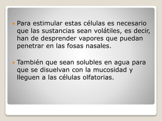  Para estimular estas células es necesario
que las sustancias sean volátiles, es decir,
han de desprender vapores que puedan
penetrar en las fosas nasales.
 También que sean solubles en agua para
que se disuelvan con la mucosidad y
lleguen a las células olfatorias.
 